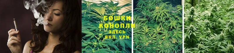 сколько стоит  Дальнереченск  нарко площадка формула  Шишки марихуана SATIVA & INDICA 